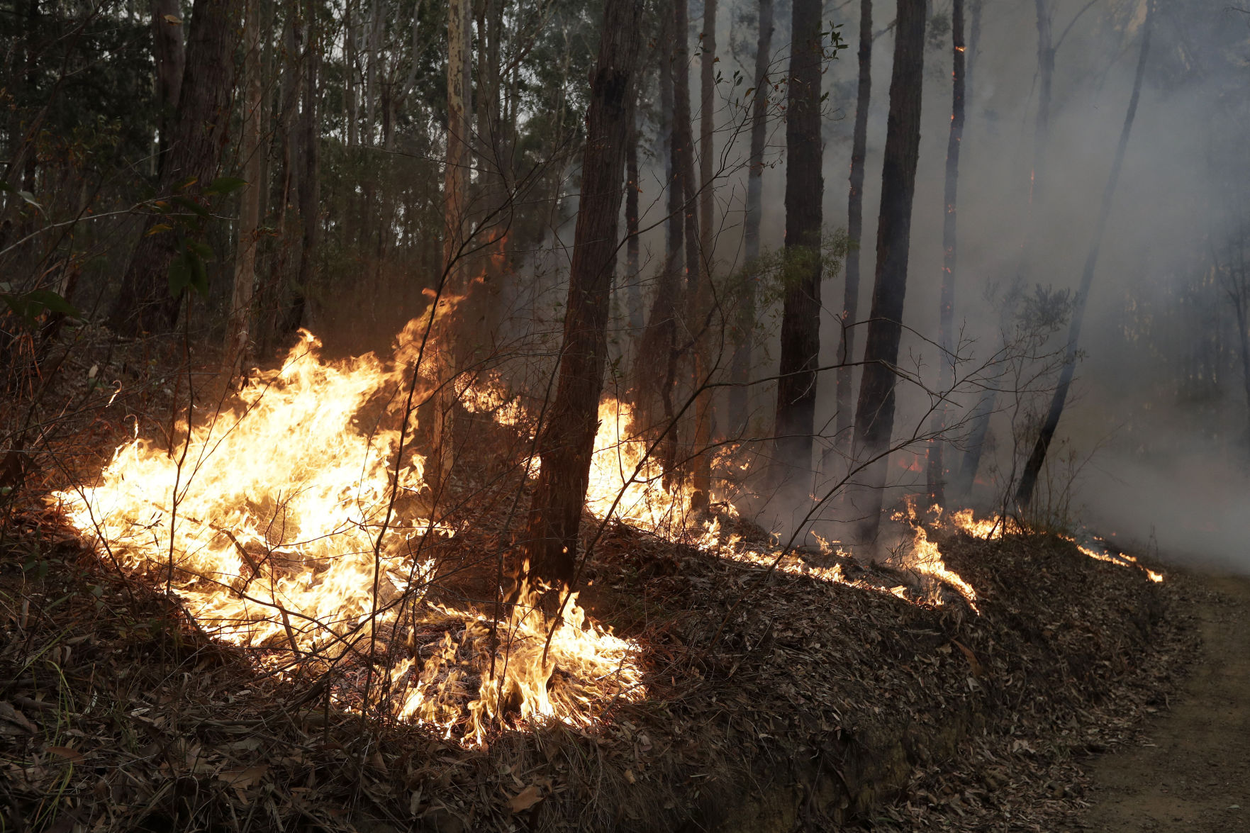 Australia wildfires